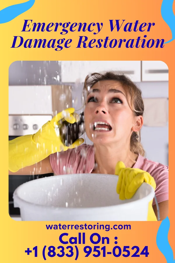 Emergency Water Damage Restoration in Ogden, NC