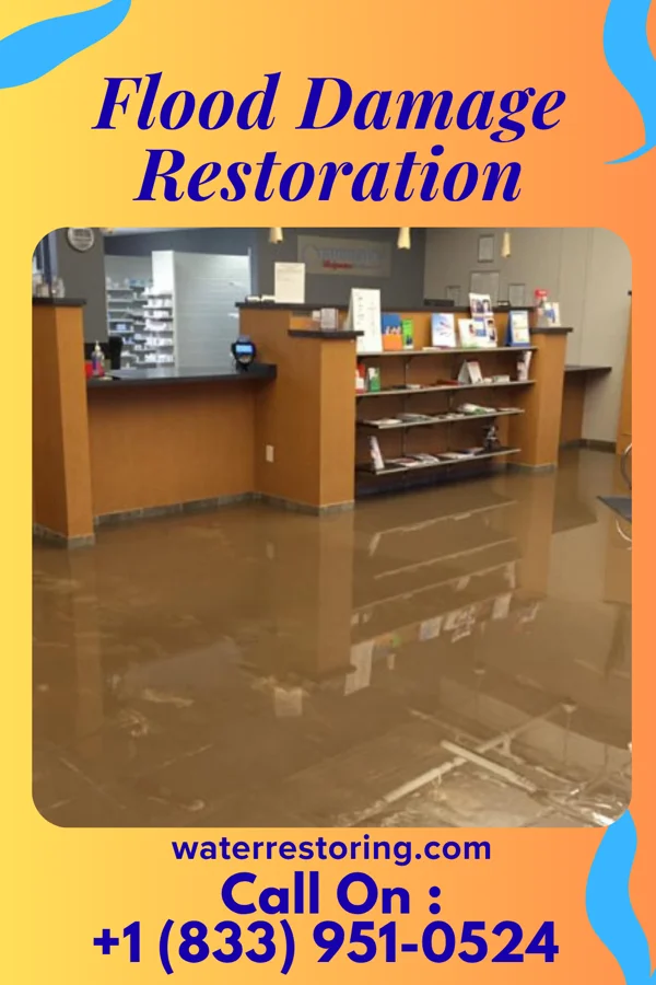 Flood Damage Restoration in Ogden, NC