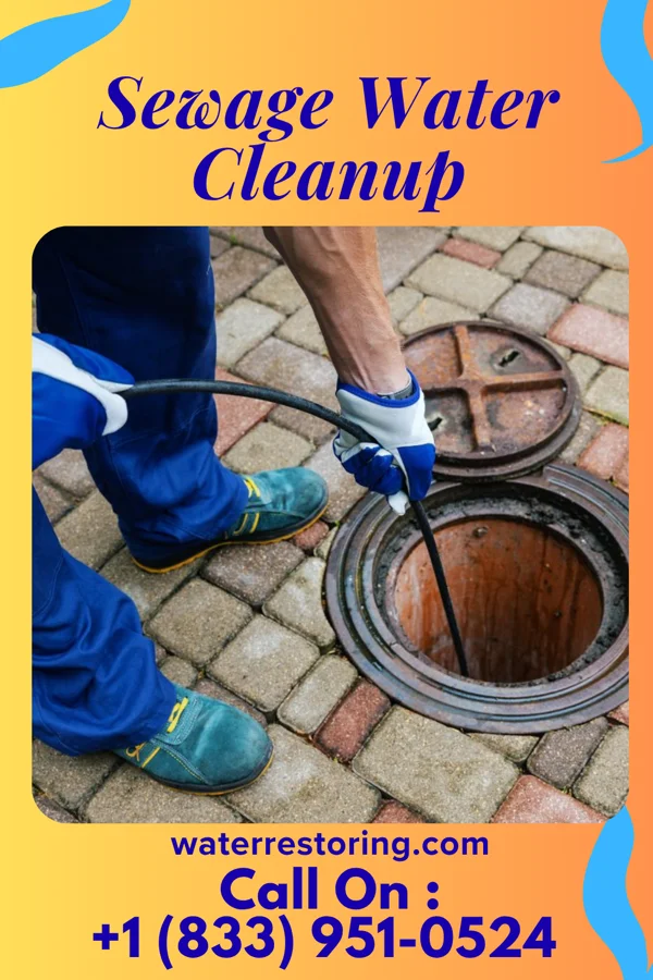Sewage Water Cleanup in Ogden, NC